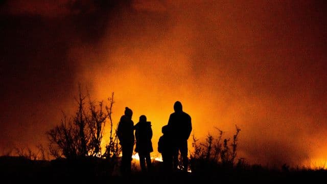 Wildfires in South Africa are set to increase: how legal action can help the country adapt better to climate change
