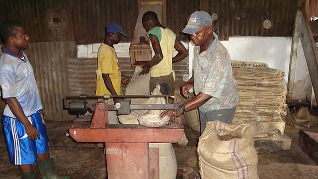 Data protection is poor for African farmers who use digital services: Kenya and Ghana cases highlight gaps