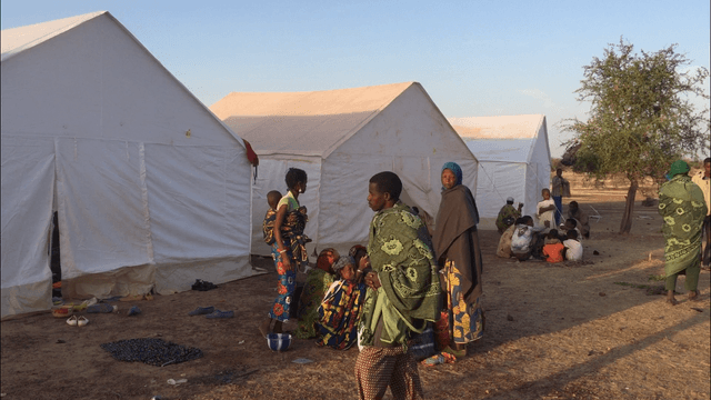 Displaced by violent conflict: the world’s most neglected crises are in Africa – six essential reads