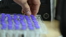 First delivery of mpox vaccine doses from the Commission arrive today in the Democratic Republic of Congo