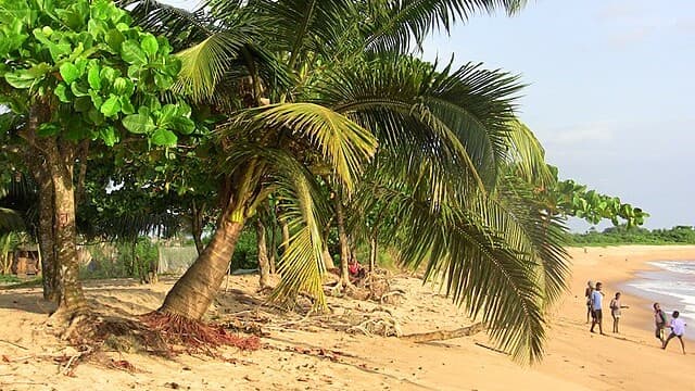 Off the Beaten Path: Liberia’s Coastal Paradise and Cultural Riches