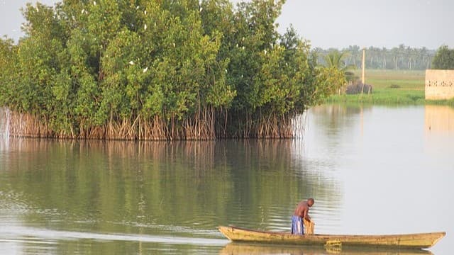 Sustainable Journeys in Benin: Where Nature and Culture Converge