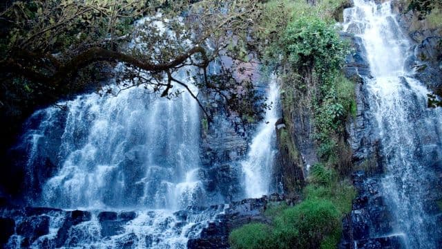 Burundi’s Hidden Wild: National Parks and the Quiet Push for Conservation