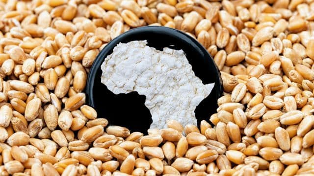 EU pledges €3.4 billion to combat global malnutrition
