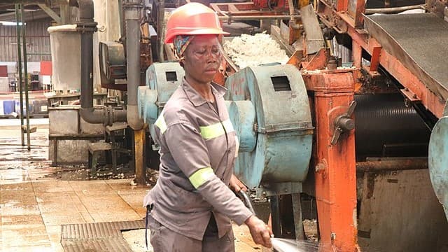 Cameroon’s Industrial Ambitions Take Shape Across Strategic Economic Zones