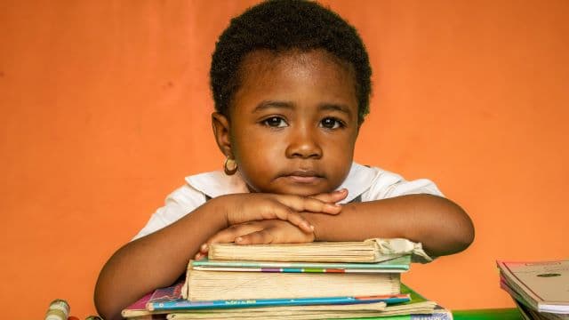 Books on Wheels: Mobile Libraries Drive a Literary Revival in the Central African Republic