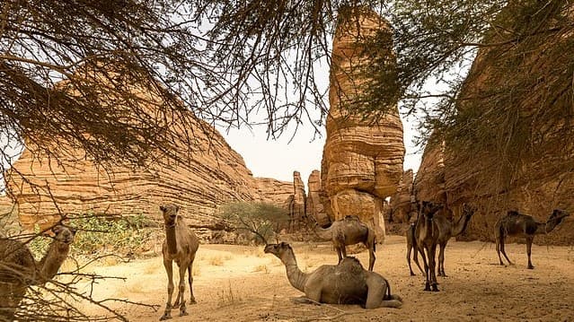 Ancient Beauty: Chad’s Cultural Heritage Draws Global Attention