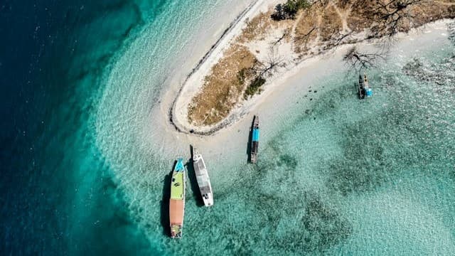 Green Islands Rising: Comoros Leads the Way in Ocean Conservation