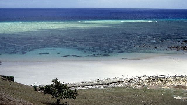 Preserving Paradise: Local Heroes Protecting the Coral Reefs of Comoros