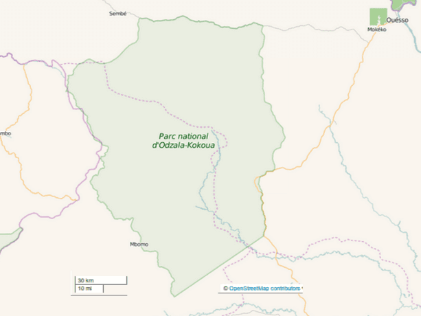 Odzala-Kokoua Awaits: Eco-Tourism Blossoms in Congo’s Pristine Rainforests