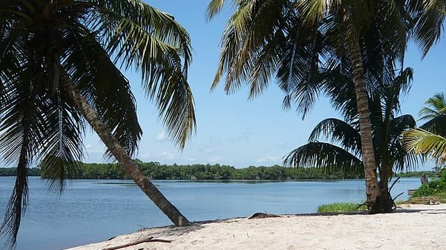 Nature’s Paradise: Ecotourism Flourishes in Côte d’Ivoire’s National Parks