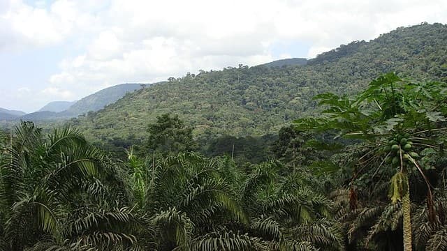 Equatorial Guinea’s Ecotourism Boosts Sustainable Travel