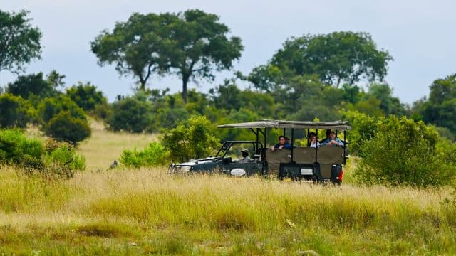 Eswatini’s Wild Heart: Safari Adventures Beyond the Beaten Path