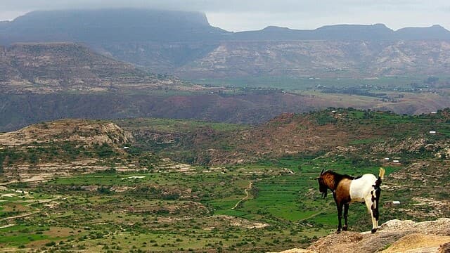 In the Highlands of Ethiopia, a Trek Through Time