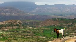 In the Highlands of Ethiopia, a Trek Through Time