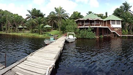Gabon’s National Parks: A Haven for Rare Wildlife and Untamed Landscapes