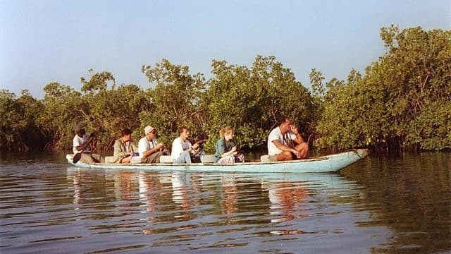 Gambia’s Sustainable Tourism: Balancing Community and Conservation