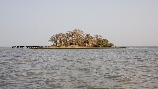 Tracing the Past: Ancient Sites and History in Gambia