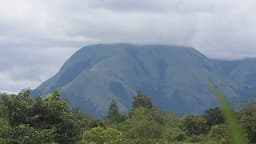 Mount Nimba: A Mountain Where Nature and Culture Converge