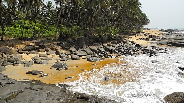 Explore Liberia’s Beautiful Beaches and Coastal Towns