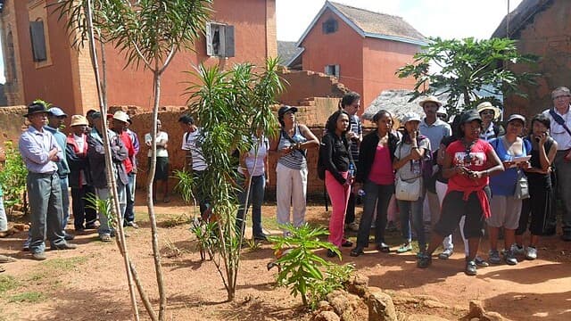 Cultural Tours in Madagascar Connect Travelers to Local Life