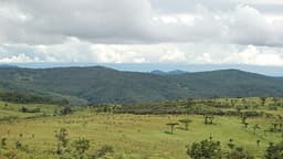 Explore Malawi’s National Parks for Wildlife and Scenic Beauty