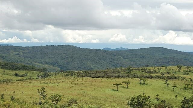 Explore Malawi’s National Parks for Wildlife and Scenic Beauty