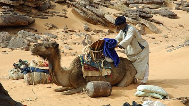 Camel Treks Offer Tourists a True Saharan Experience in Mauritania