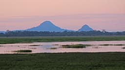 National Parks in Mozambique Offer Rare Wildlife Experiences