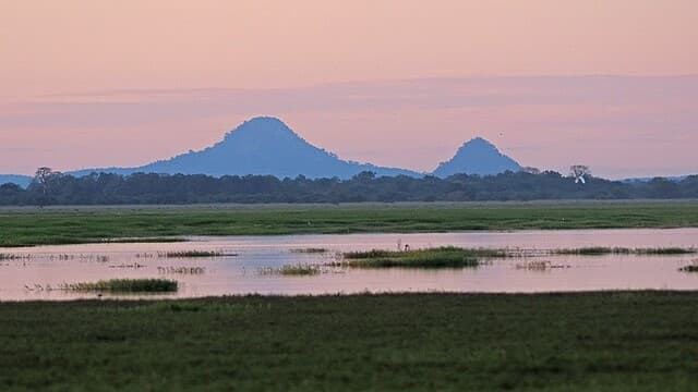 National Parks in Mozambique Offer Rare Wildlife Experiences