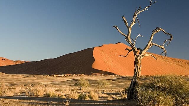 Sossusvlei Dunes - A Must-See Wonder in Namibia’s Desert