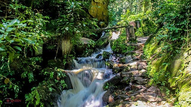 Natural Wonders Like Erin Ijesha Waterfall Attract Global Tourists
