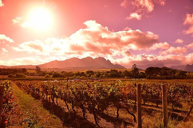 South Africa’s Wine Regions Combine Flavor, History, and Scenic Beauty
