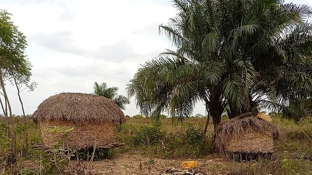 Togo’s Wildlife and Natural Parks Invite Exploration and Adventure