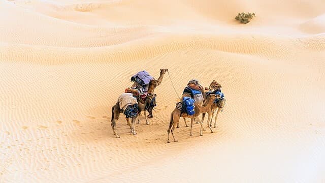 Ancient Ruins and Desert Landscapes Define Tunisia’s Unique Tourism
