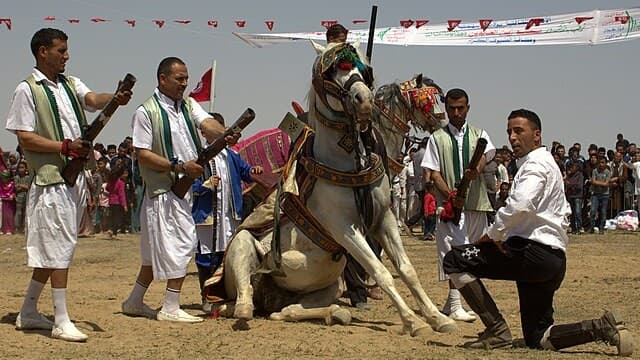 Festivals in Tunisia Celebrate Art, Film, and Heritage Year-Round