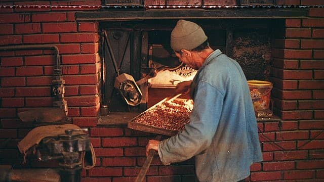 A Feast of Memory: Algeria’s Culinary Heritage