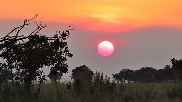 Okavango Delta: Botswana’s Untamed Jewel of Water and Wildlife