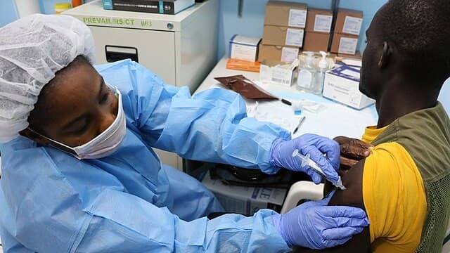 The global health system can build back better after US aid cuts – here’s how