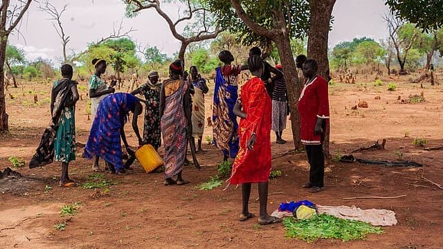 33 million women grow food on plots in sub-Saharan Africa. Greener farming can boost their earnings – study