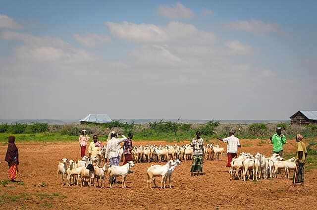 West Africa’s trade monitoring system has collapsed - why this is dangerous for food security