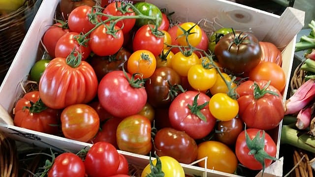 Agricultural exports from Africa are not doing well. Four ways to change that