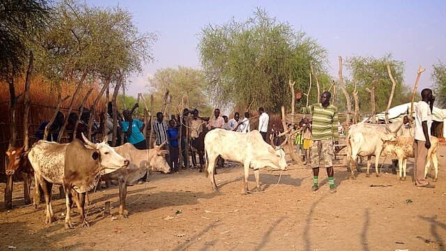 Africa’s drylands need the right kind of support – listening to the pastoralists who live there