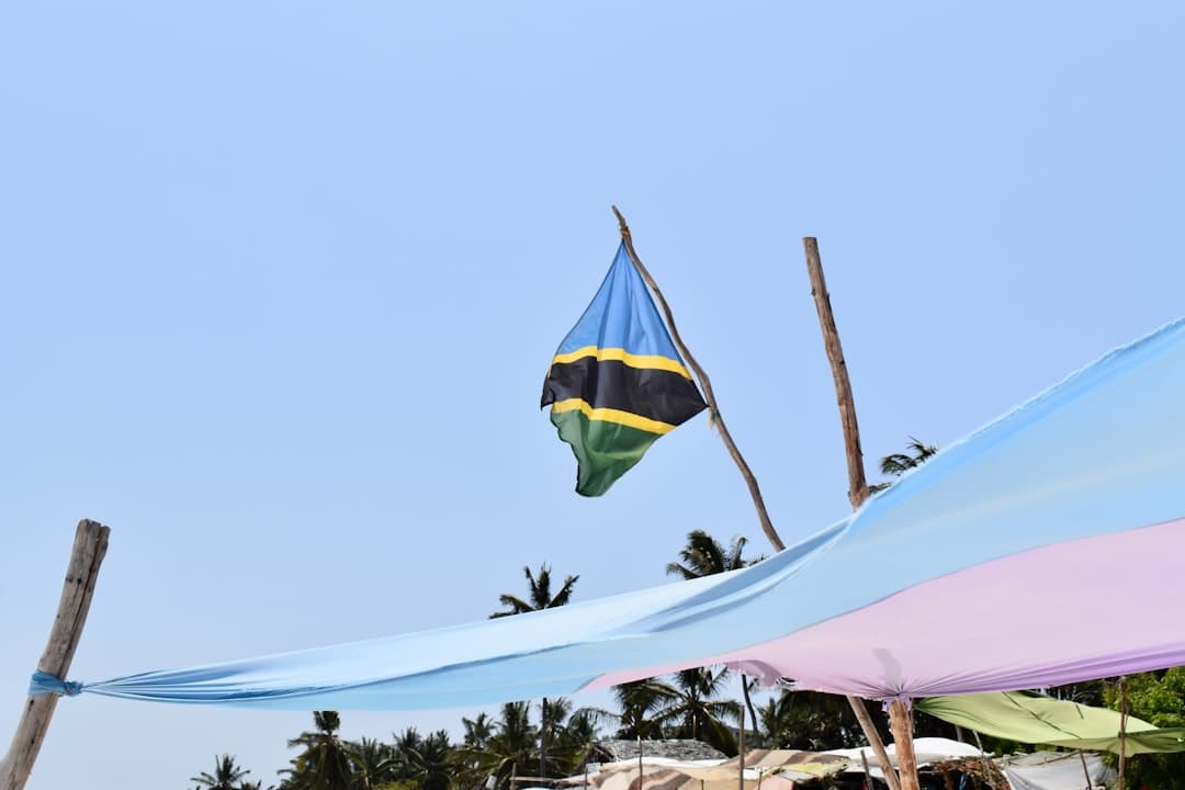 Tanzania Embraces Digital Democracy Revolution