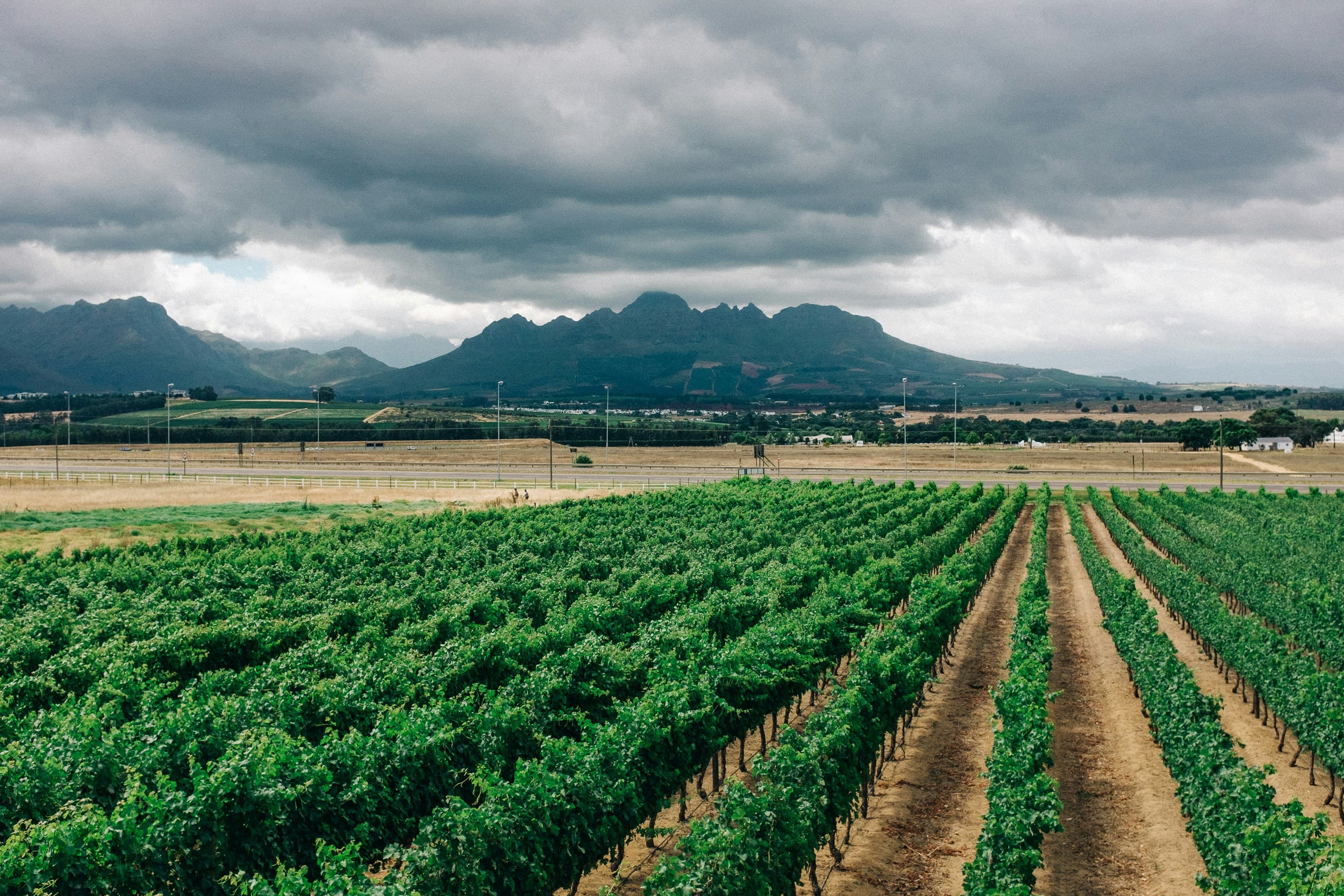 Will El Niño drought hit food prices in South Africa? Earlier rains and grain stocks offer hope