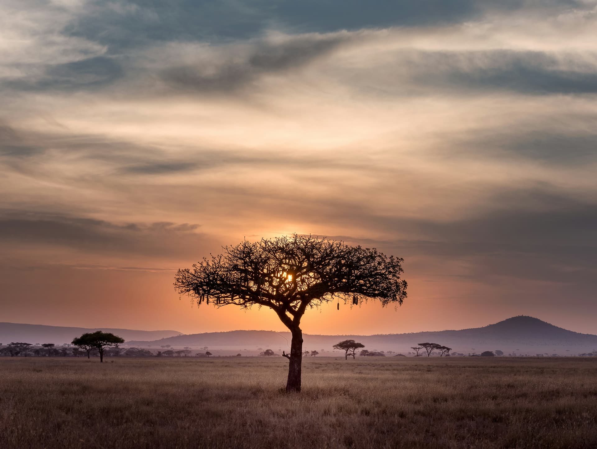 Warnings Before the Storm: Africa's Race to Build Climate Early Warning Systems